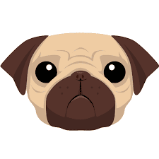 Pug